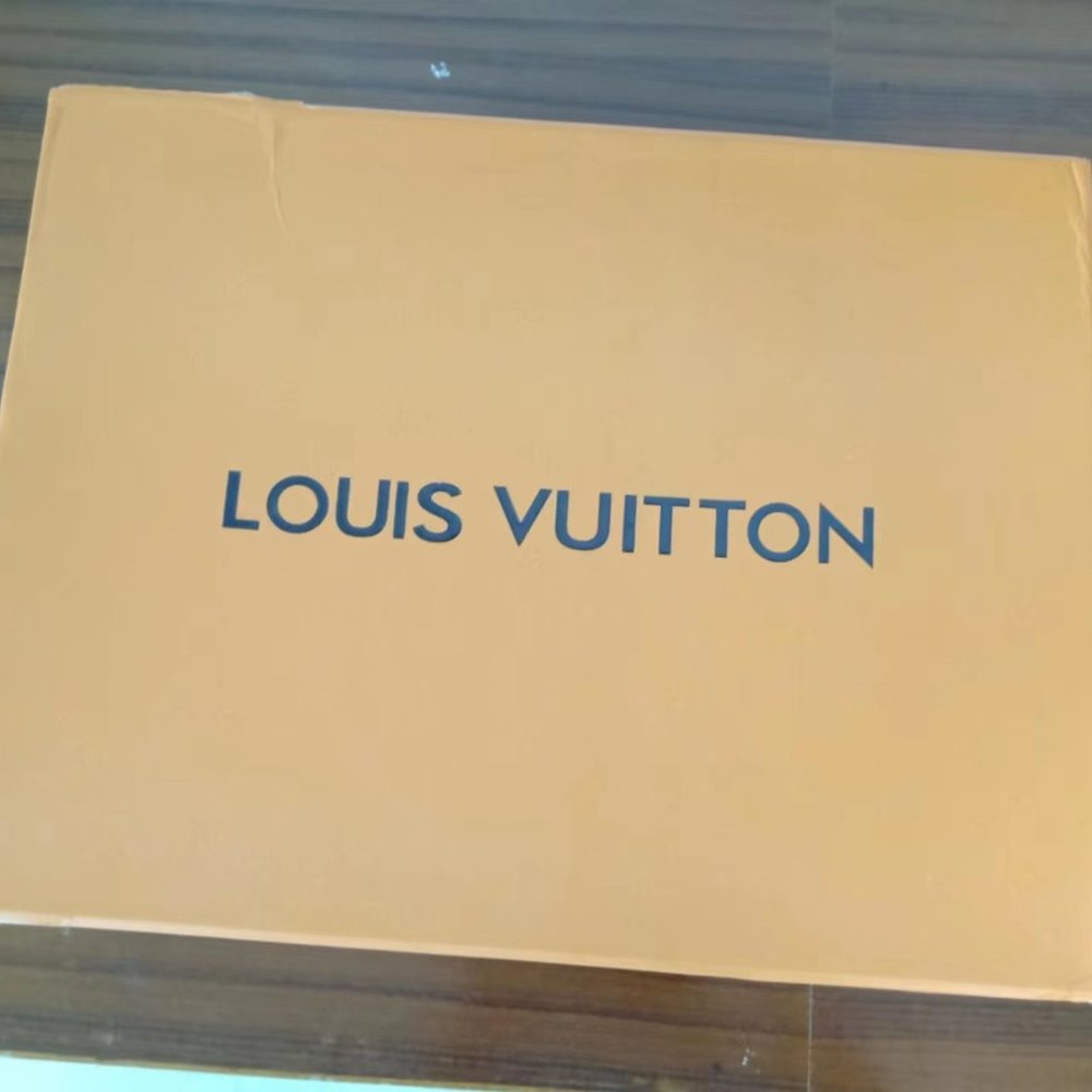 Louis Vuitton LV White Casual Sports Retro Shoes - Picture 5 of 14